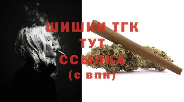 PSILOCYBIN Магас