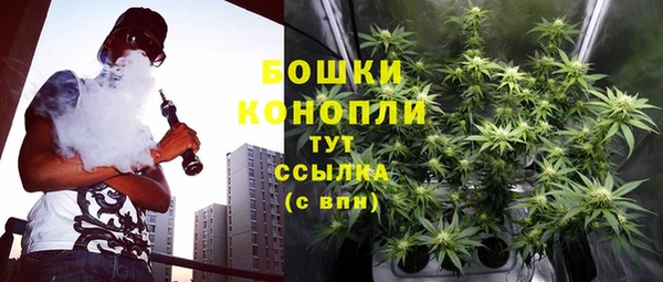 PSILOCYBIN Магас