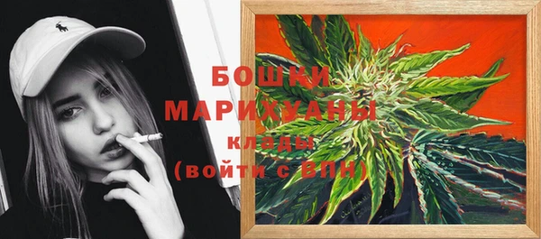 PSILOCYBIN Магас
