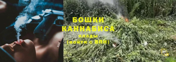PSILOCYBIN Магас
